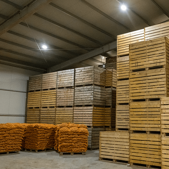 Warehouse with pallets