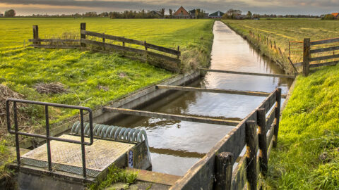photograph of a water management system on farmland
